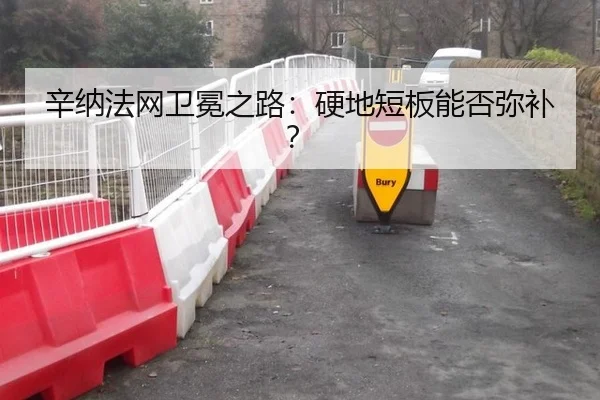辛纳法网卫冕之路：硬地短板能否弥补？